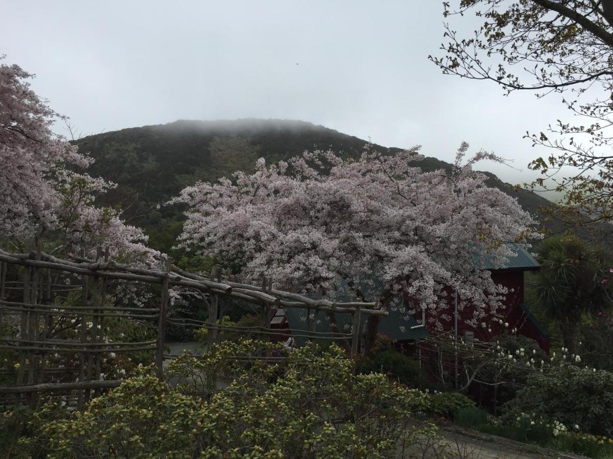 Hereweka Garden Retreat Dunedin Exterior foto