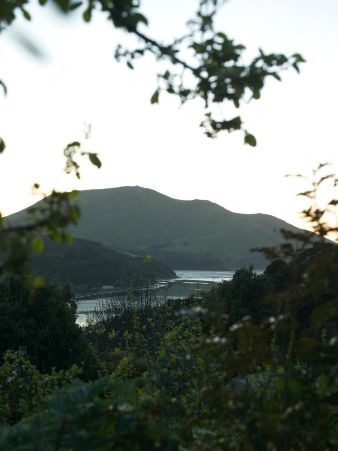 Hereweka Garden Retreat Dunedin Exterior foto