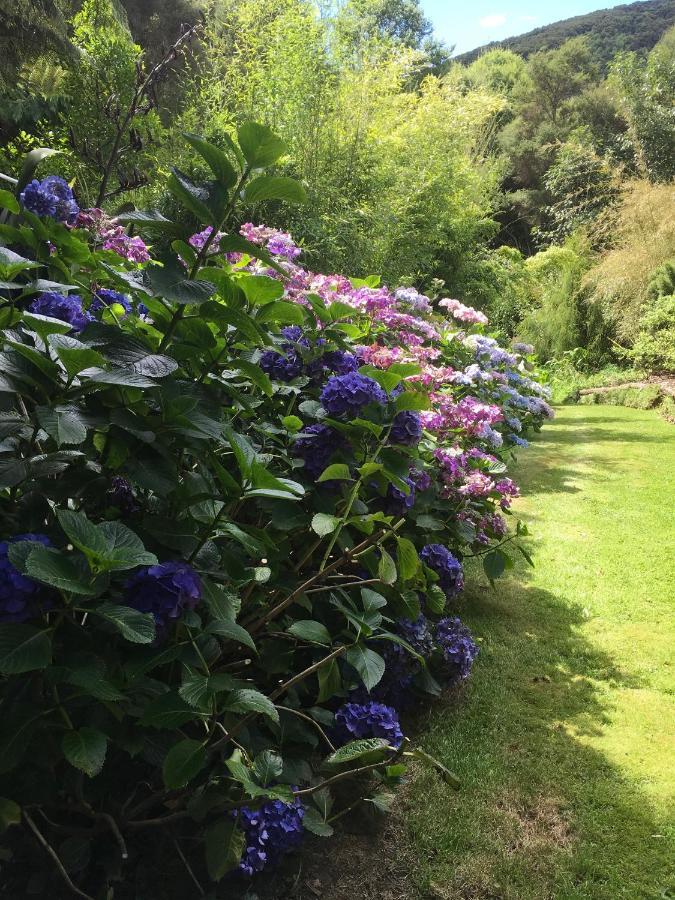 Hereweka Garden Retreat Dunedin Exterior foto